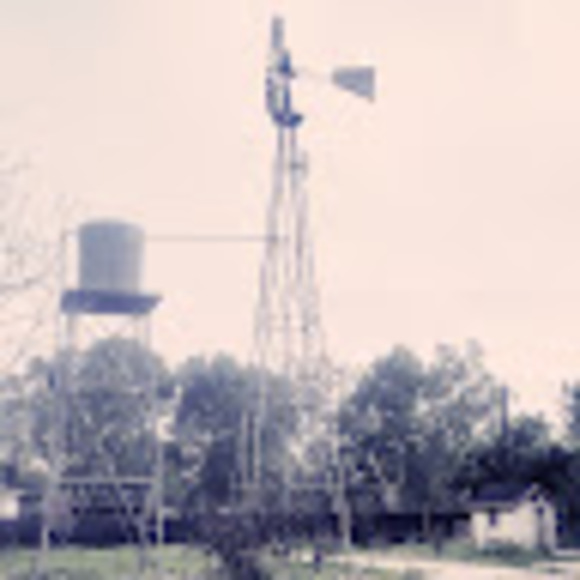 wildmyrtlefarms